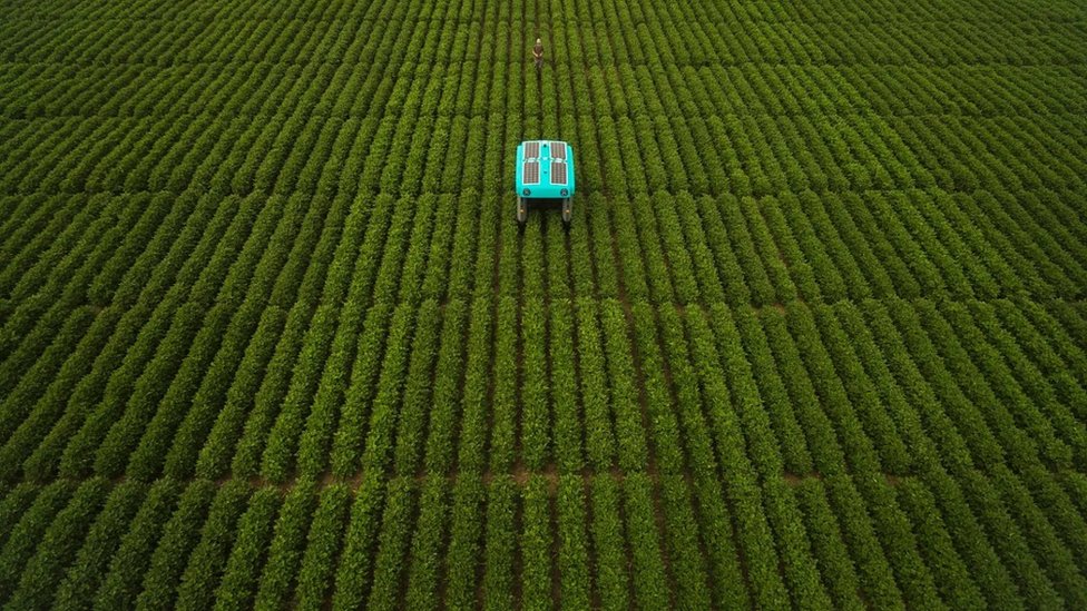 Aerial view of a mineral crop-inspecting robot in a field..