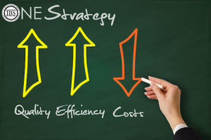 OneIBS Strategy: Quality, Efficiency, Costs graphic.